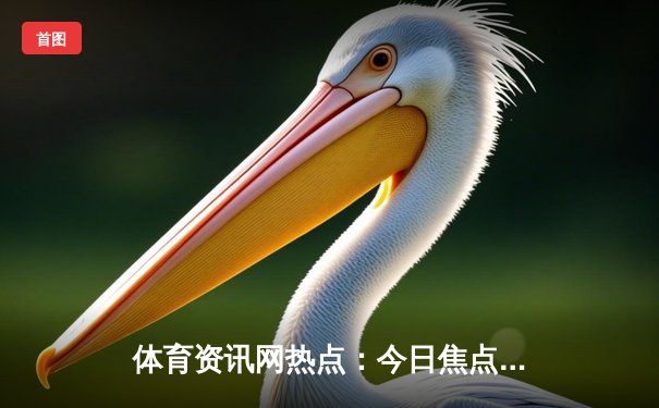 体育资讯网热点：今日焦点新闻